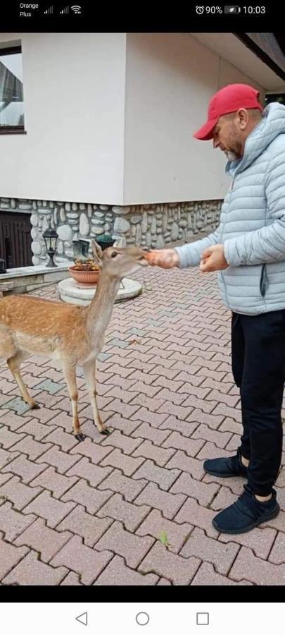 Agroturystyka Pod Lasem Poronin Exterior foto